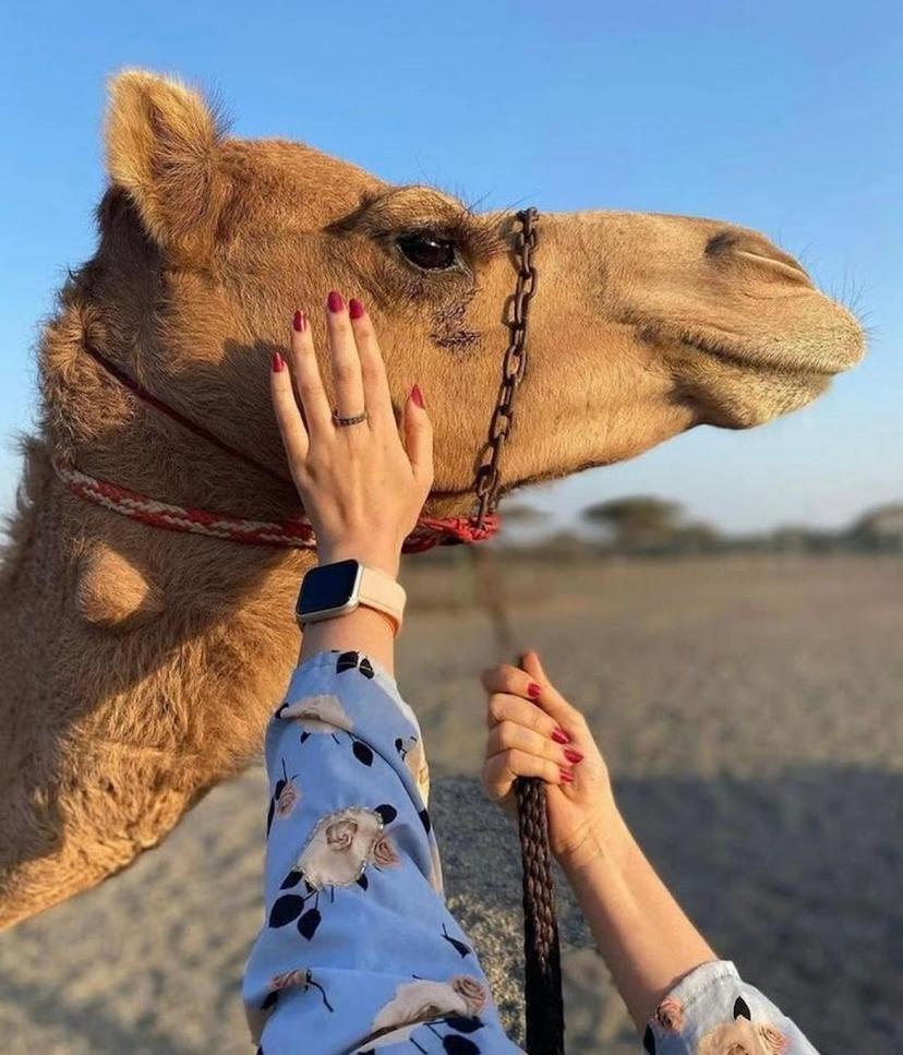 Best Desert Camp In Jaisalmer Red Velvet المظهر الخارجي الصورة